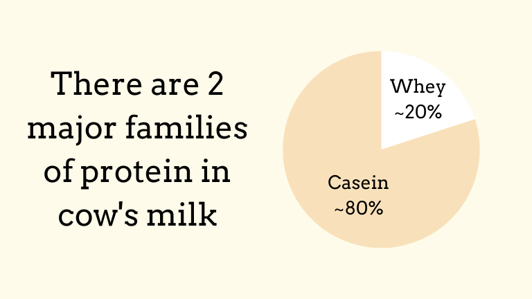 An image that shows that casein makes up about 80% of bovine milk proteins while whey makes up about 20% of bovine milk proteins.